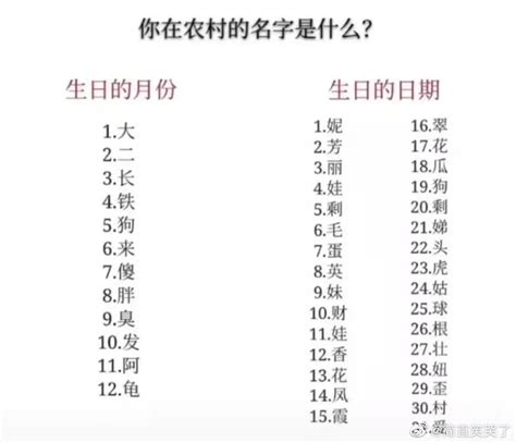 土 名字|求一些很土，像是农村里的名字。